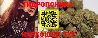 эйфоретик Будённовск