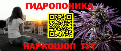 эйфоретик Будённовск