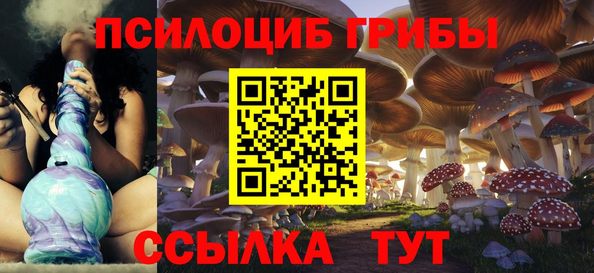 Псилоцибиновые грибы Psilocybine cubensis Усть-Кут